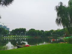 -南大港湿地风景区