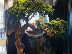 -御膳·现代粤菜·高空城景宴会厅·谢师宴(罗湖万象城店)