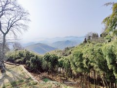 -莫干山风景区