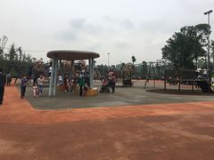 -枫香湖儿童公园