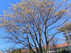 -云南滇池花园国际大酒店温泉