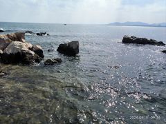 -养马岛旅游度假区