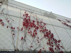 -回声星球·团建策划·赛事承办·拓展培训(大钟寺店)