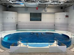 -鹿儿岛水族馆