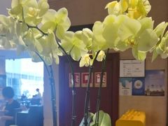 -泉州悦华酒店·自助餐厅