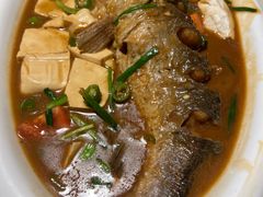 -大雄九老菜馆(南门桥店)