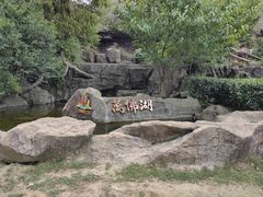 -万佛湖风景区