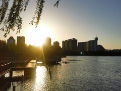 -莲花池公园