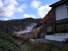 -支芴洞爷国立公园