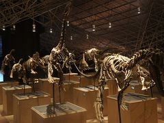 -世界恐龙谷景区