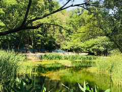 -白水寺森林公园