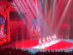 -珠海横琴长隆《卡卡虎奇遇记》