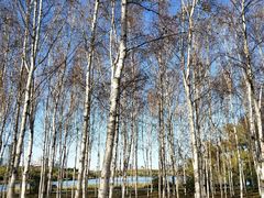 -长春市南湖公园