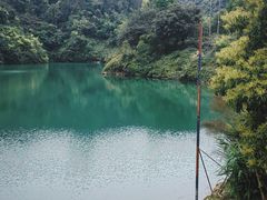 -佛山市三水区大南山森林公园