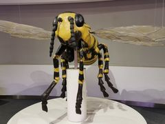 -陕西自然博物馆