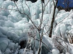 -青峰峡国家森林公园