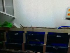 -胶东海鲜大排档(北太平庄店)