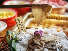-九鼎轩脆毛肚火锅(三钢里店)