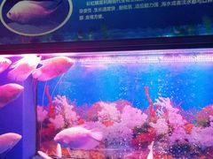 -大明湖海底世界