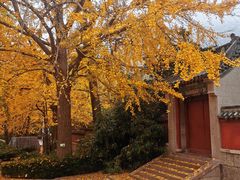 -青岛崂山太清宫