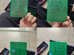 -合肥野生动物园