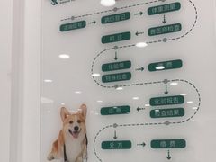 -瑞派雷欧宠物医院·24h夜诊·心脏骨科牙科·全科重症转诊中心(无影山店)