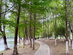-长广溪湿地公园