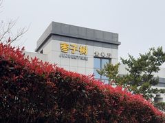 -枣子树·素食餐厅(朱家尖店)