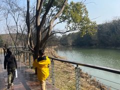 -昆山城市生态森林公园