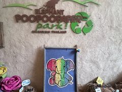 -大象粑粑造纸公园