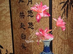 -卫鼎轩·家宴(水上公园店)