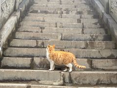 -终南山南五台景区