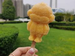 -陕西自然博物馆