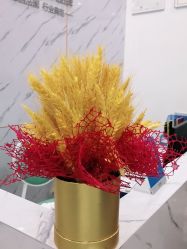 -SOR索尔祛痘·面部肌肤管理