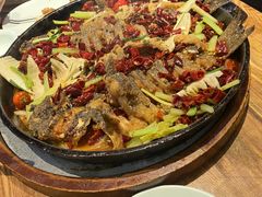 -老板恋上鱼(高新万达店)