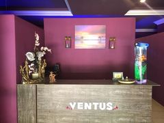 -ventus spa 沙巴亚庇正宗精油按摩会所