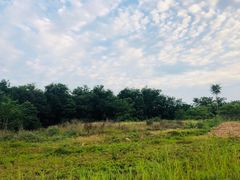 -汉长安城未央宫国家考古遗址公园