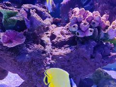-邯郸海洋世界