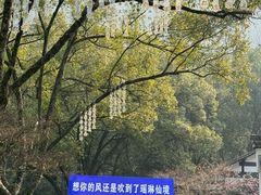 -瑶琳仙境