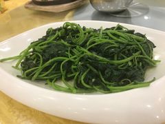 -姚林轩