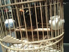 android_upload_pic-到家尝北京菜(西坝河店)