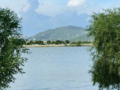 -芒洲湿地公园