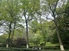 -杭州植物园