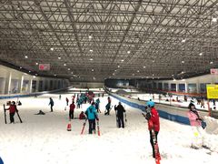 -绍兴启迪乔波冰雪世界