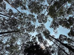 -水濂山森林公园