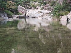 -无染寺