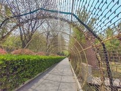 -唐城墙遗址公园