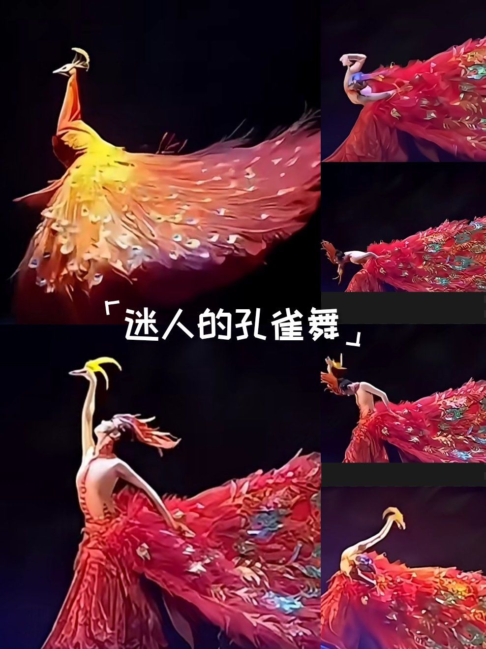 杨丽萍老师,就是孔雀舞之魂