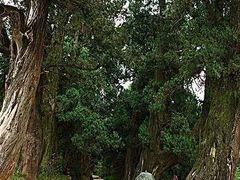 -七曲山风景区