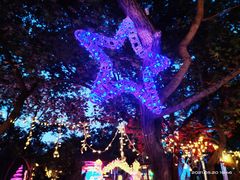-枫花园汽车电影院(朝阳公园店)